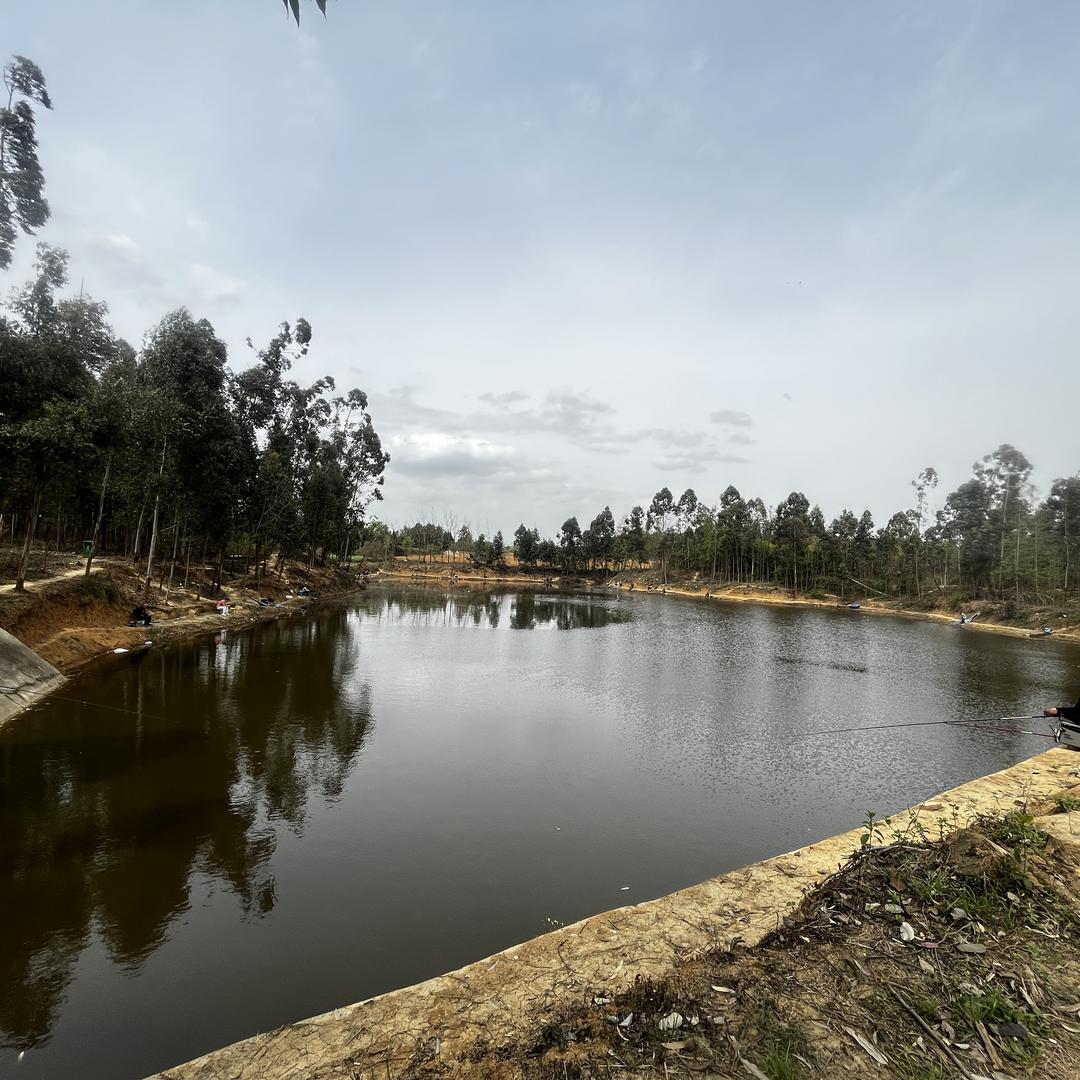 桃花源休闲钓场