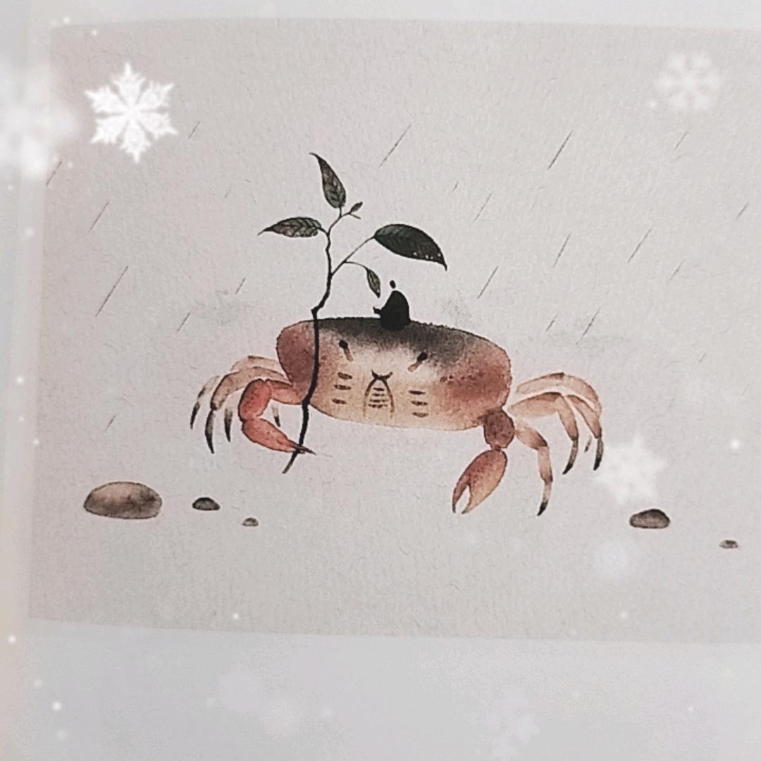 真真假假的明天