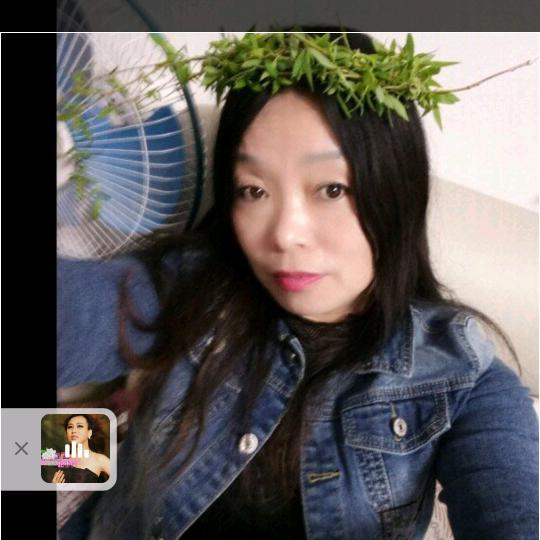 紫罗兰