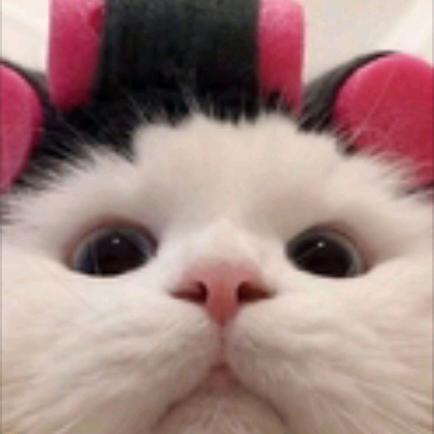 瞳