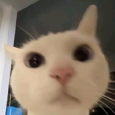 03-