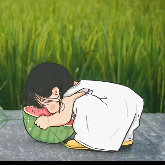 向日葵🌻🌻🌻🌻