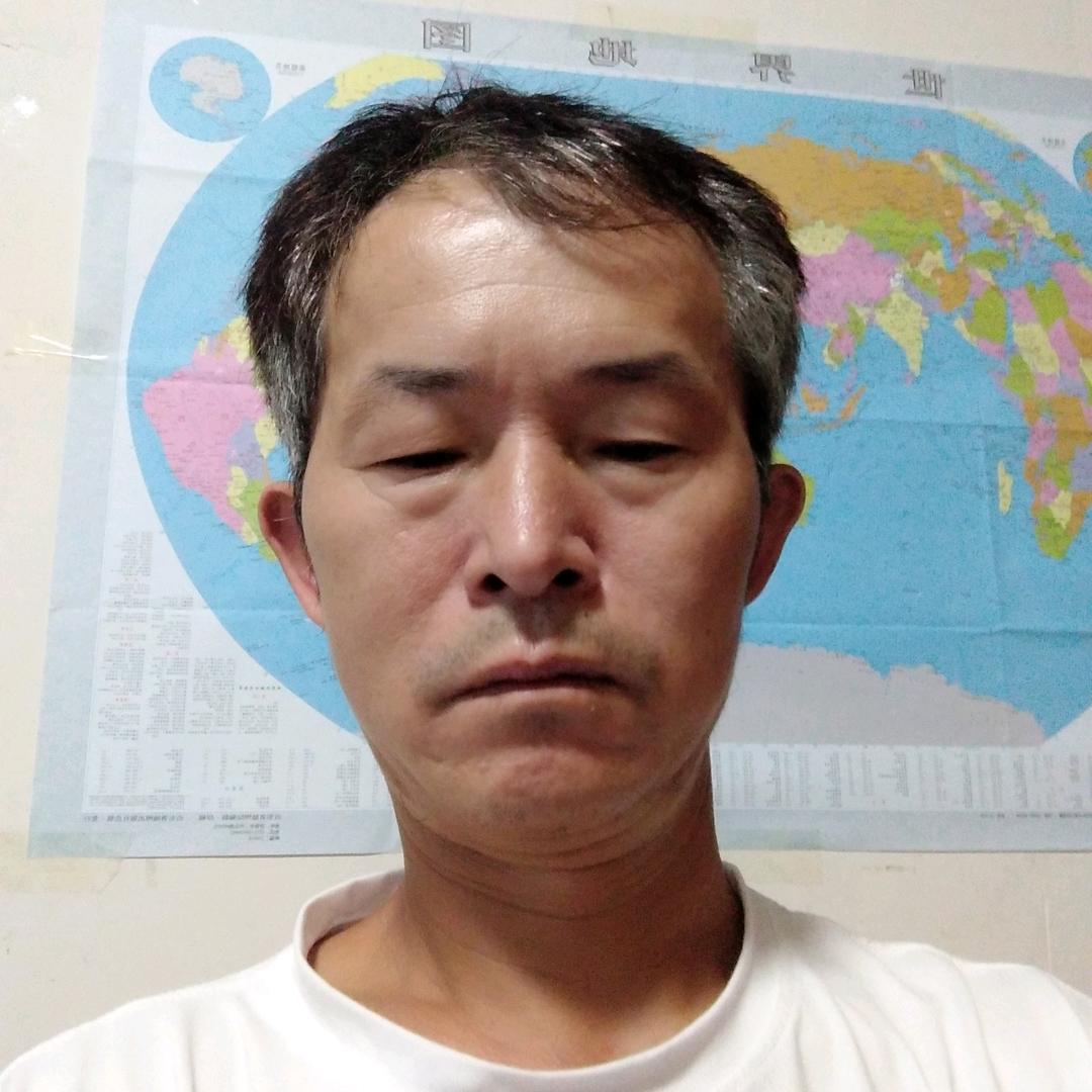 史进宏