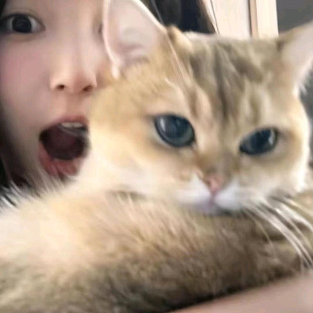 是小梓柒吖（退了）