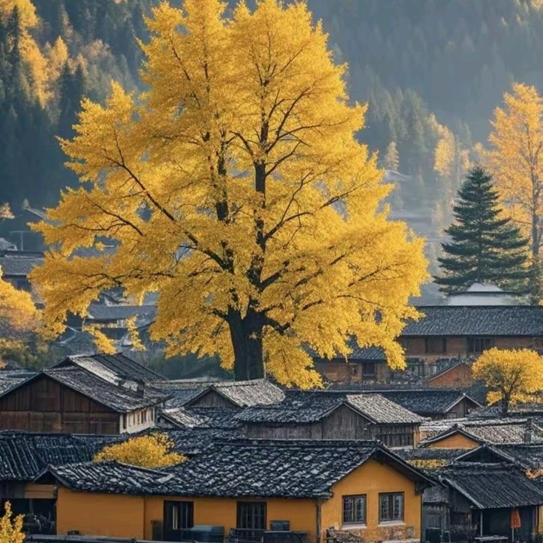 扭扭捏捏