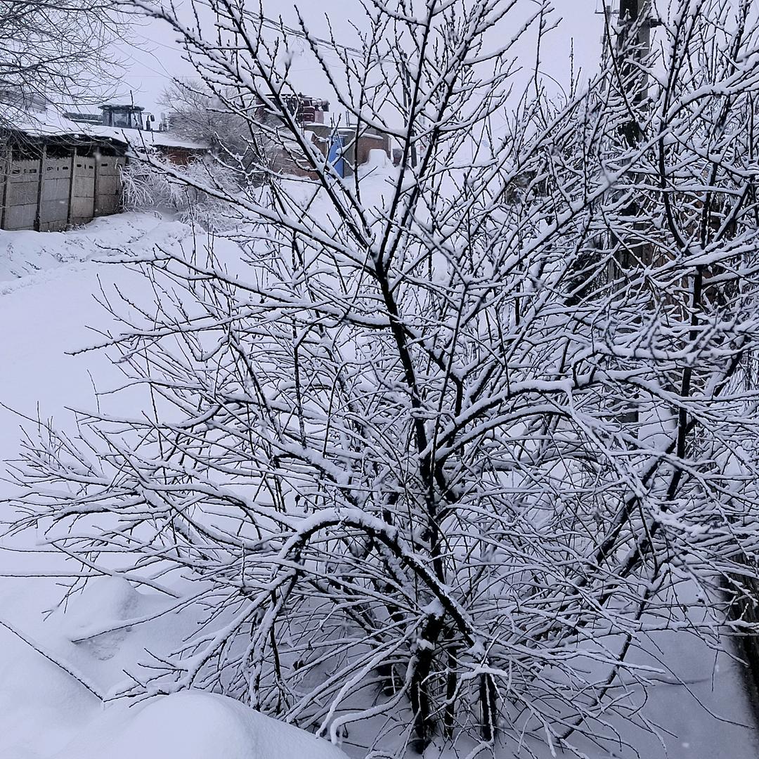 给心灵找个家