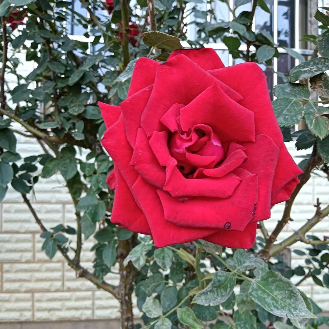 \1