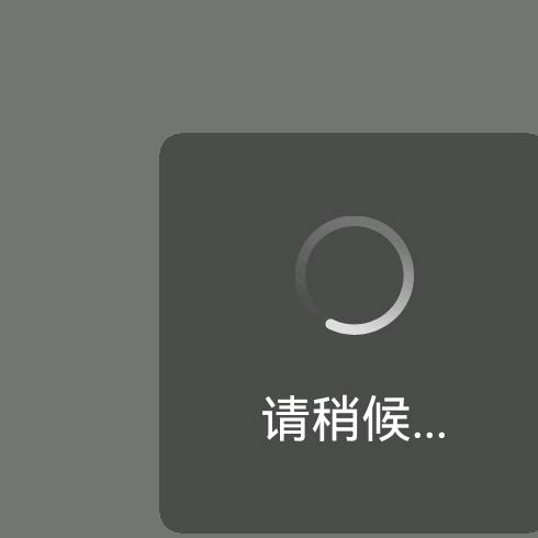苍蝇拍子