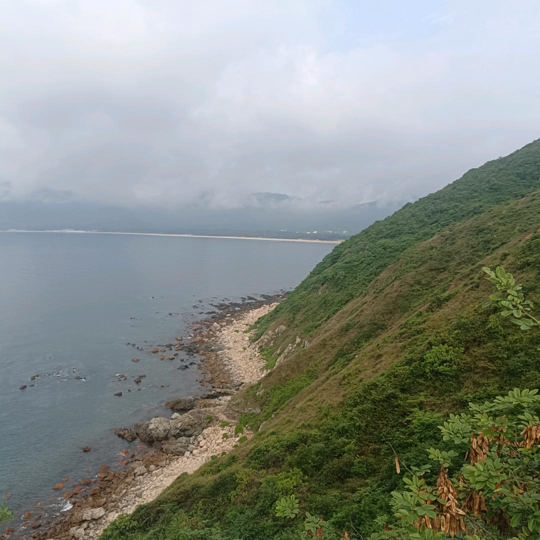 人心本无染，心静自然清