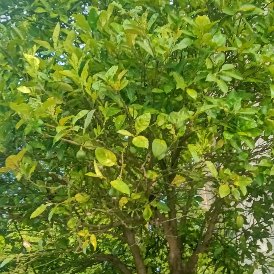 开开心心，快快乐乐