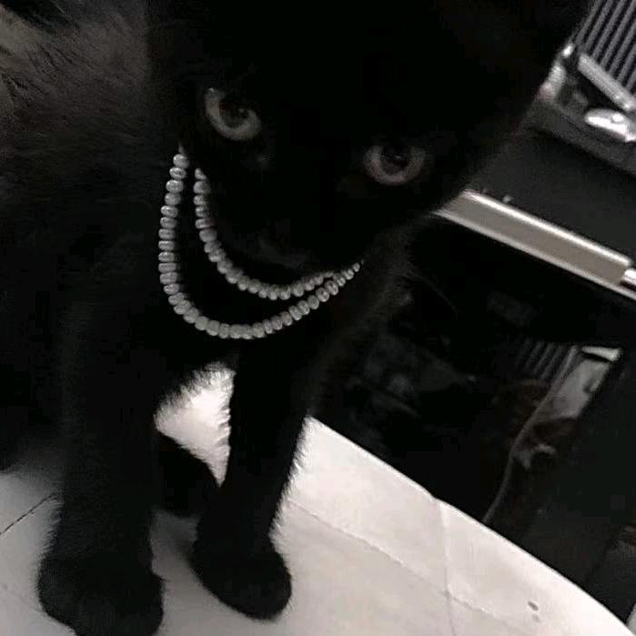钅真