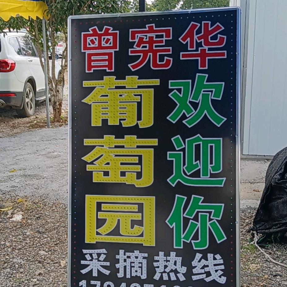 最熟悉的陌生人（李幺妹）