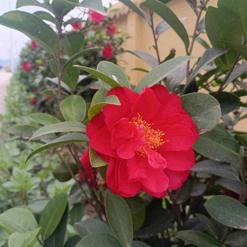 马到成功，拒绝私聊