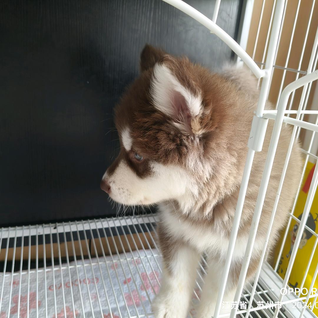 徐♥