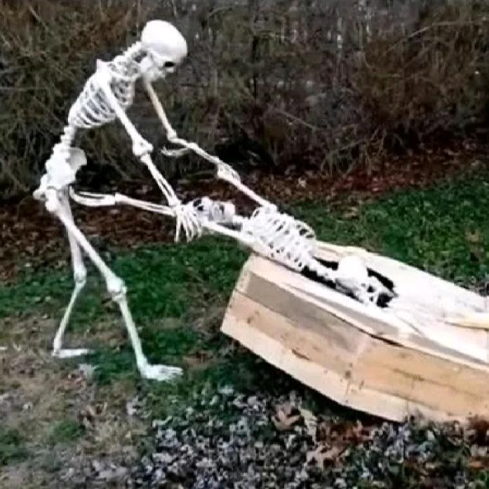 梅莉是生物界的明日之星