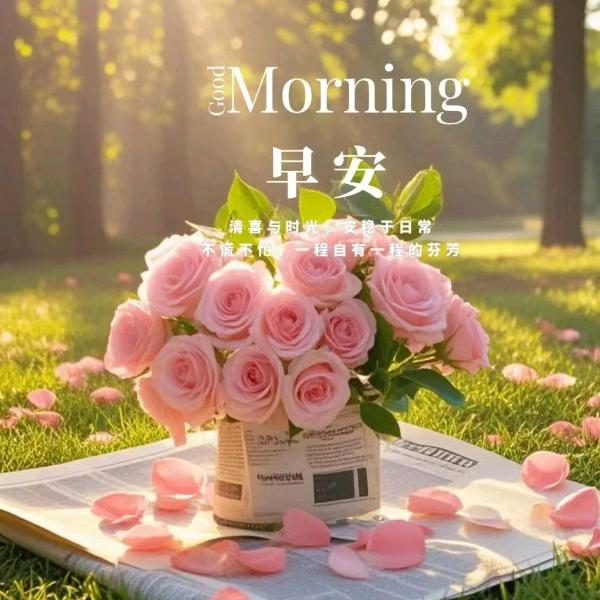 看房买房小常帮忙