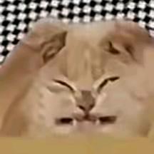 跪在地上求男友和男朋友结婚的那个夜晚