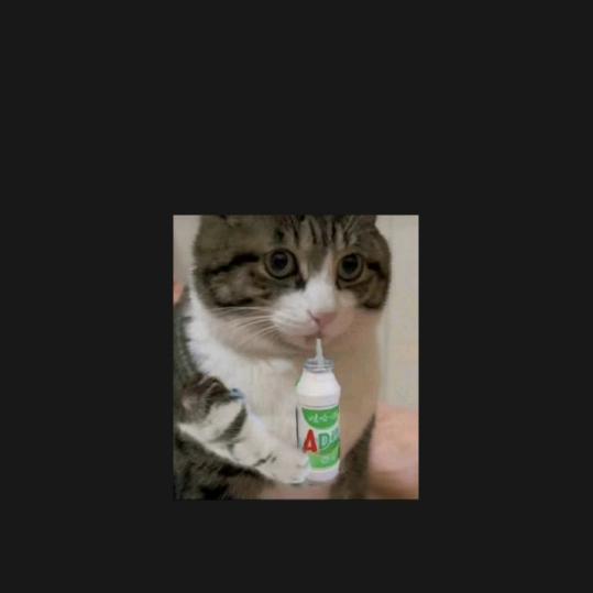 小绵羊