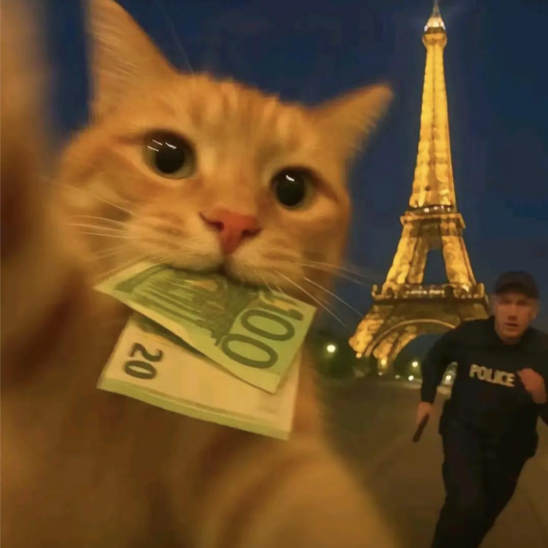 ¹¹