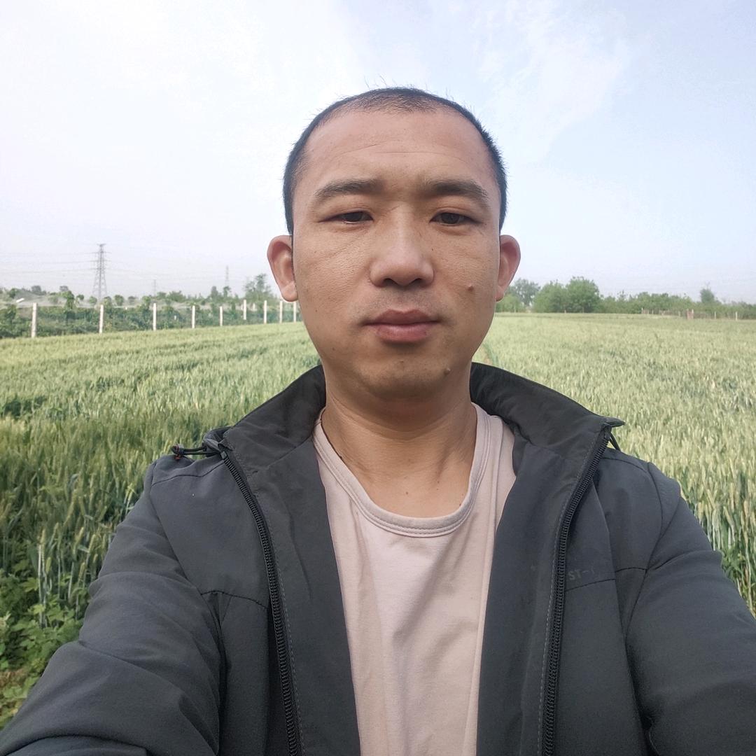 栋哥