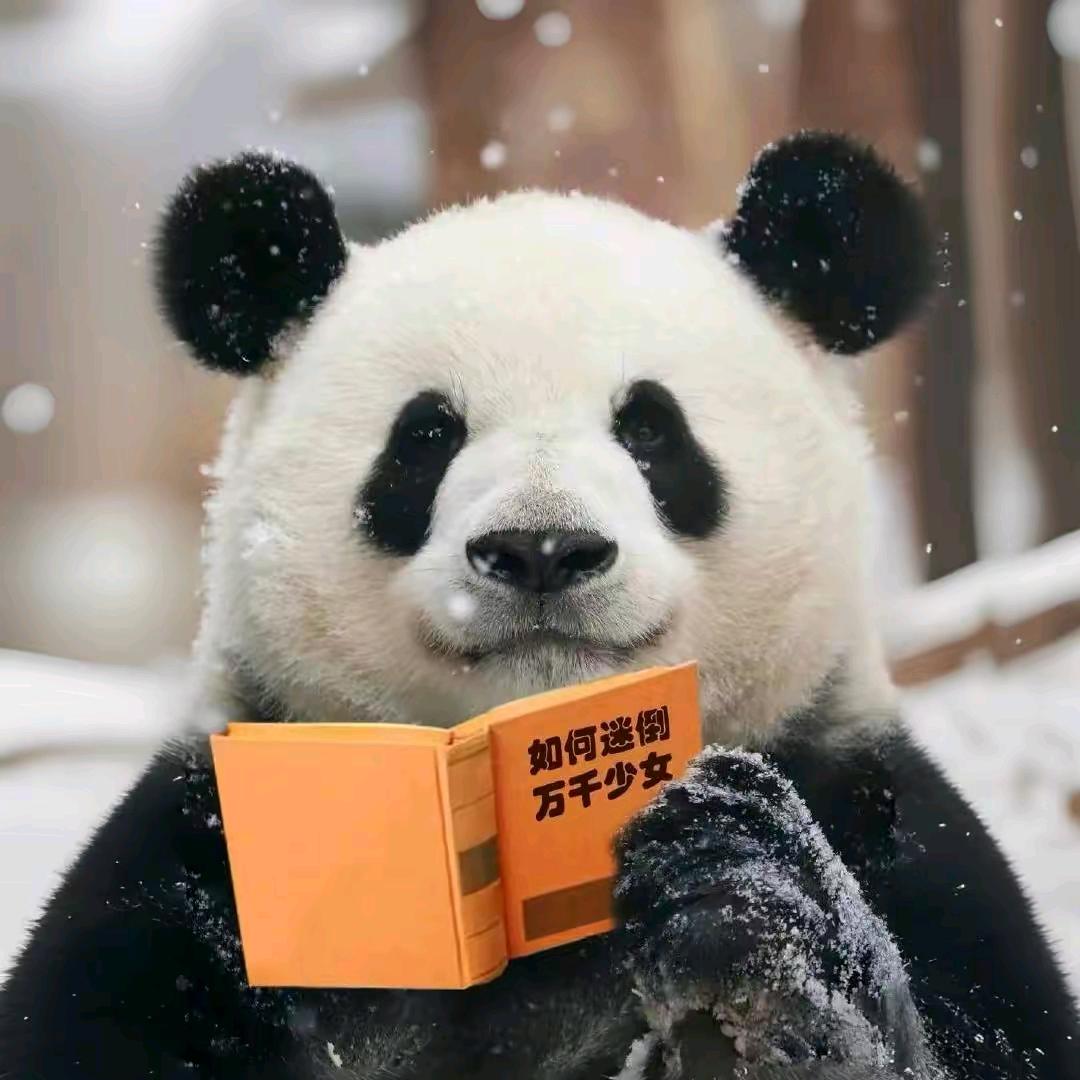 调五钓八