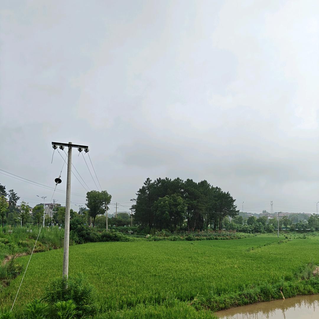 桃子湖