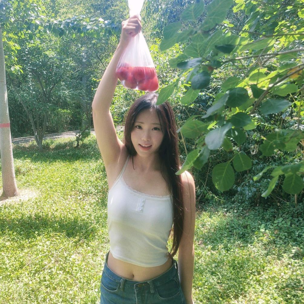 木于