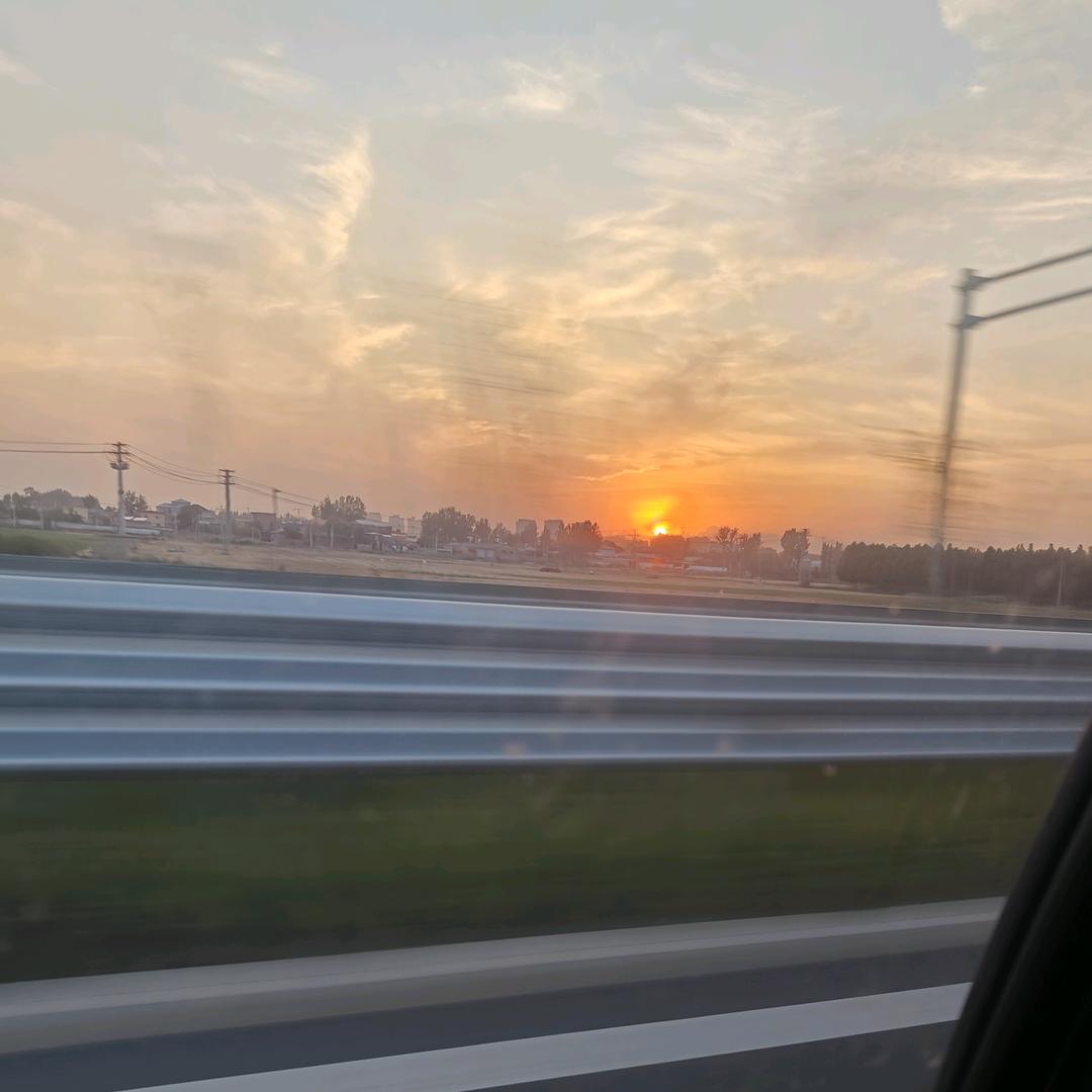 拾颗朱果头像