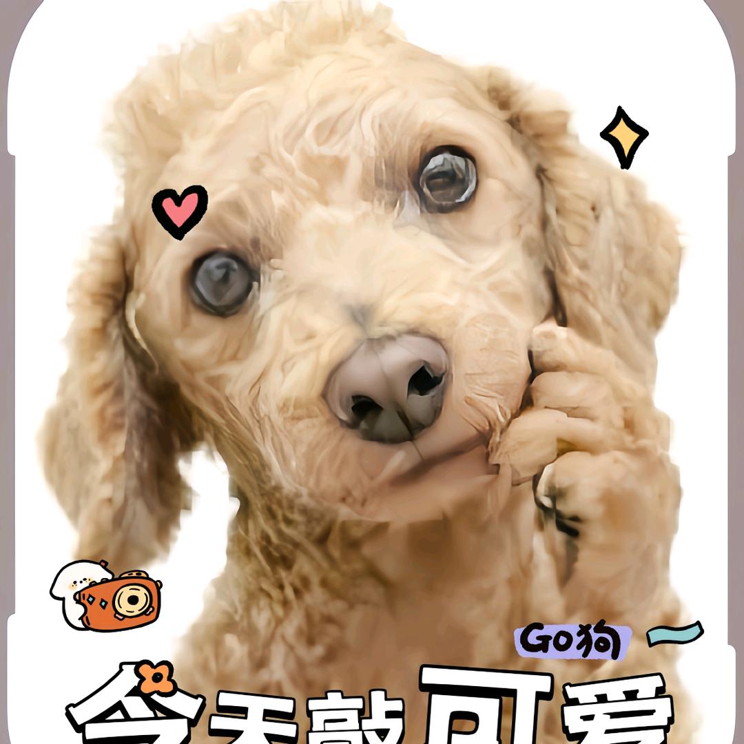 烟小雨