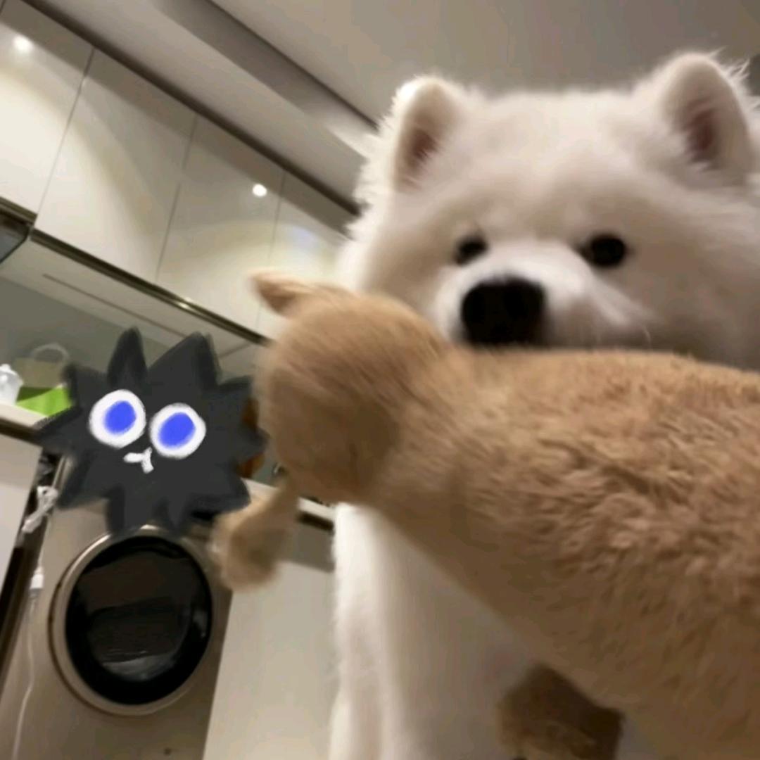 鲁智深爱上贾宝玉