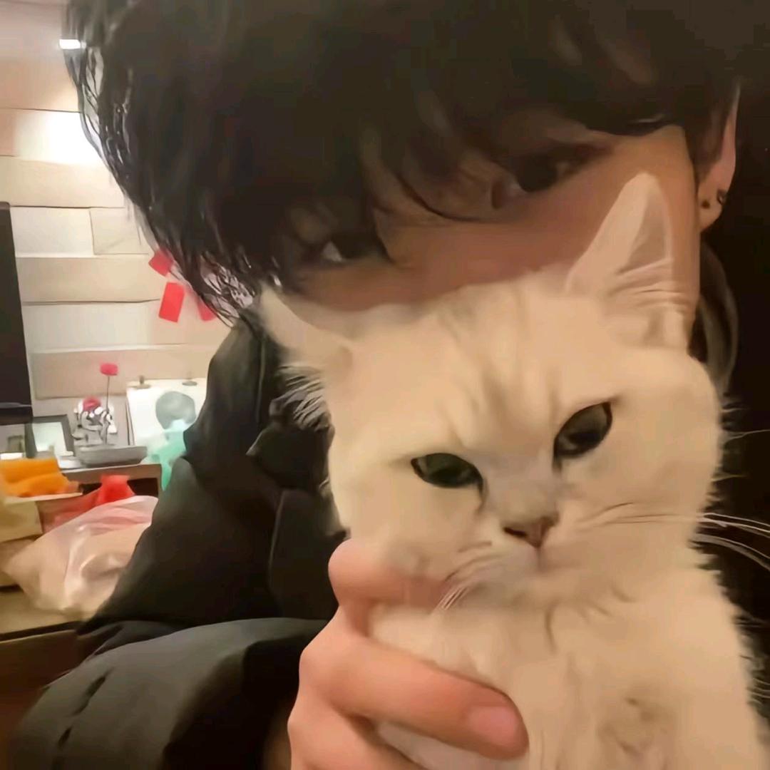kitty（三角洲行动）