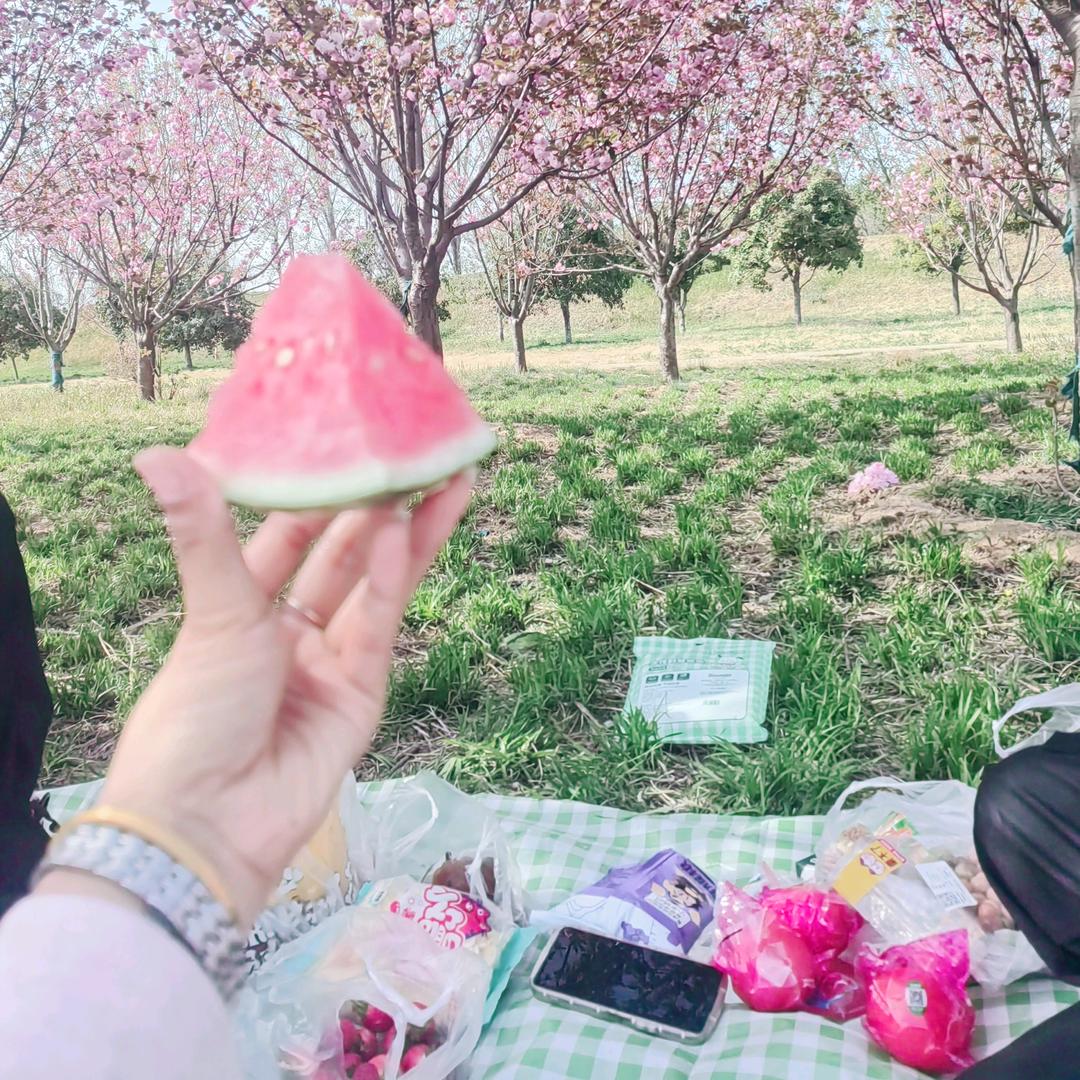 鹰城  《陈姐》
