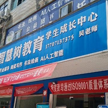 武穴智慧树@吴老师