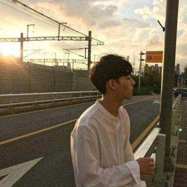 孤狼.无忧无虑