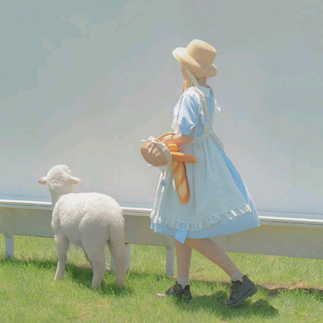 素衣锦绣