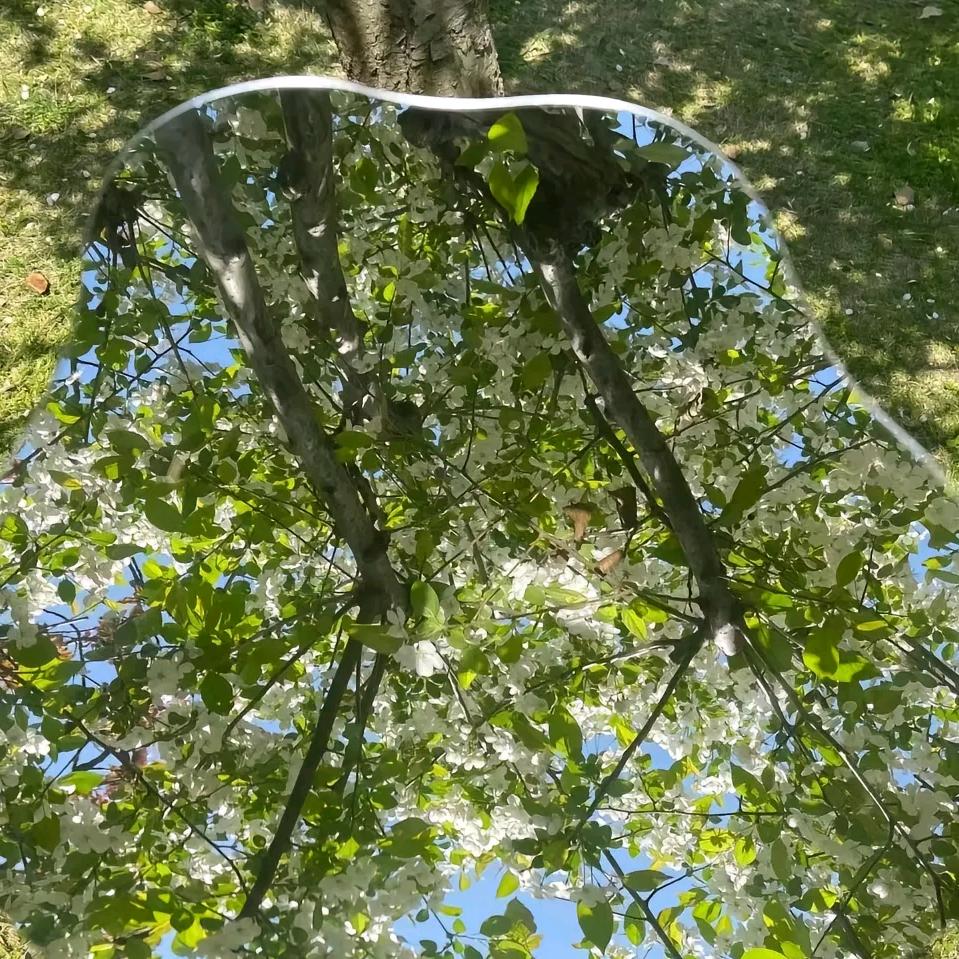 MidSummer.ᵀᵈ