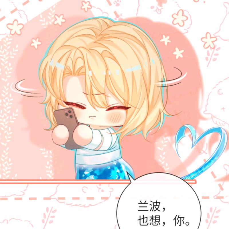 猫猫不乖