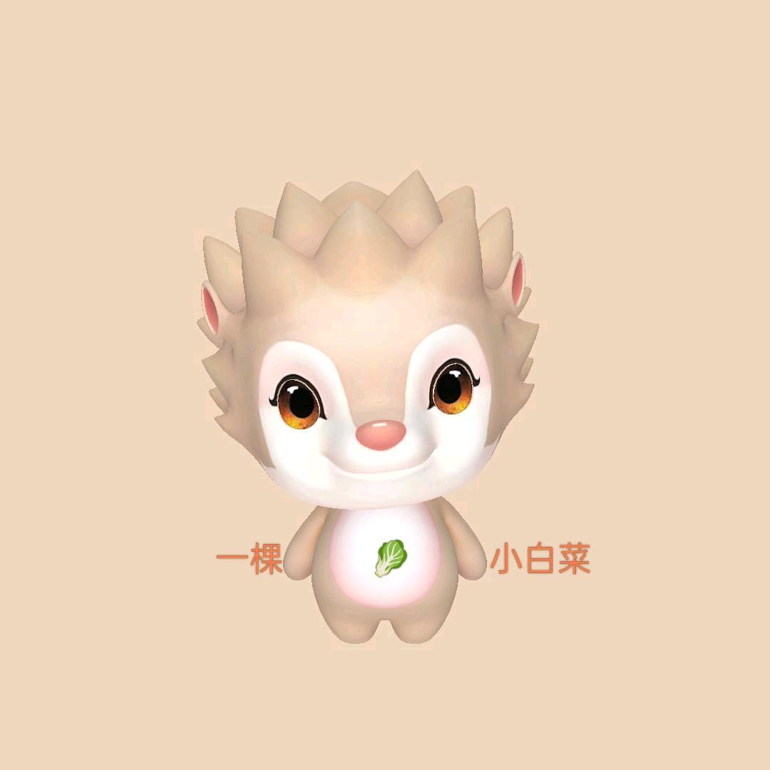 小白菜🥬🥬🥬