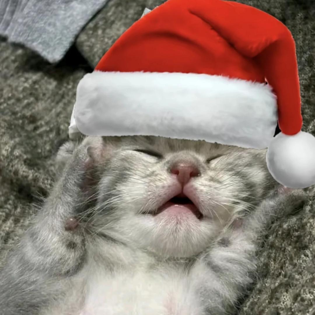 TS男友出轨后发现小三是我四i前女友那夜