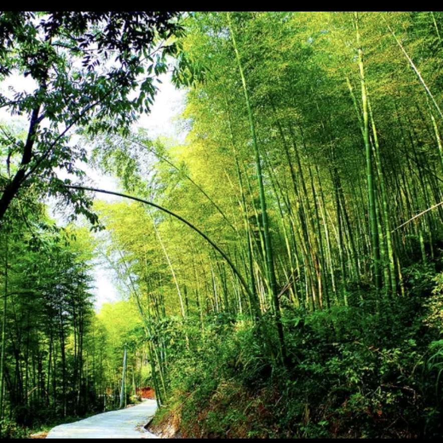 温润而泽