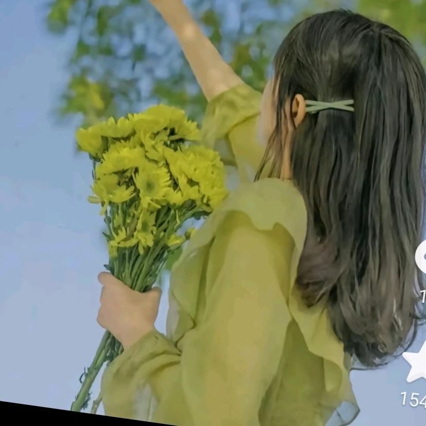花儿与少年