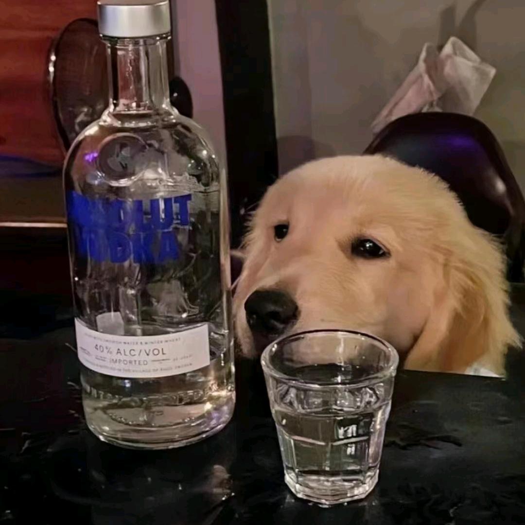 陌生人