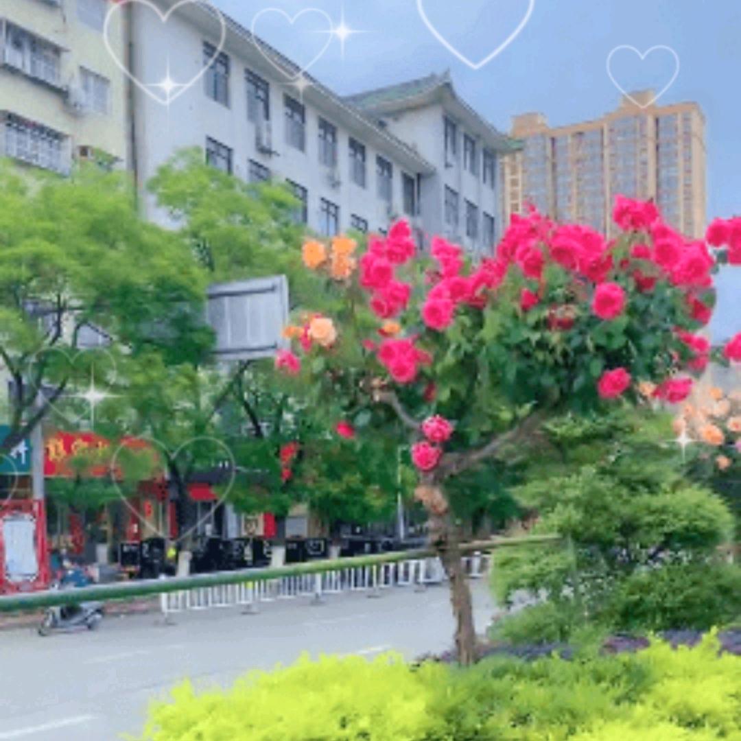 贵州苗族阿姨