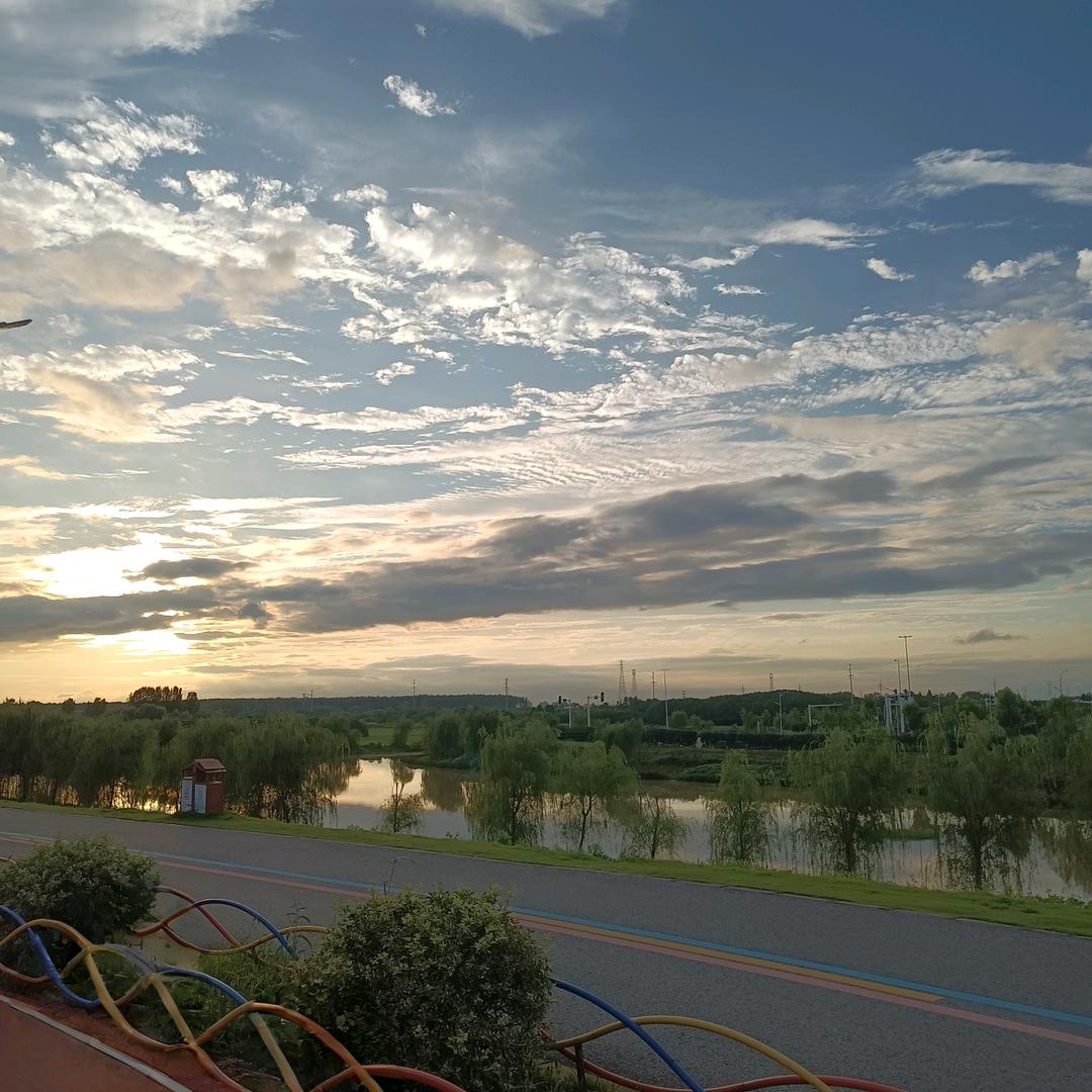 雨中散落的精灵