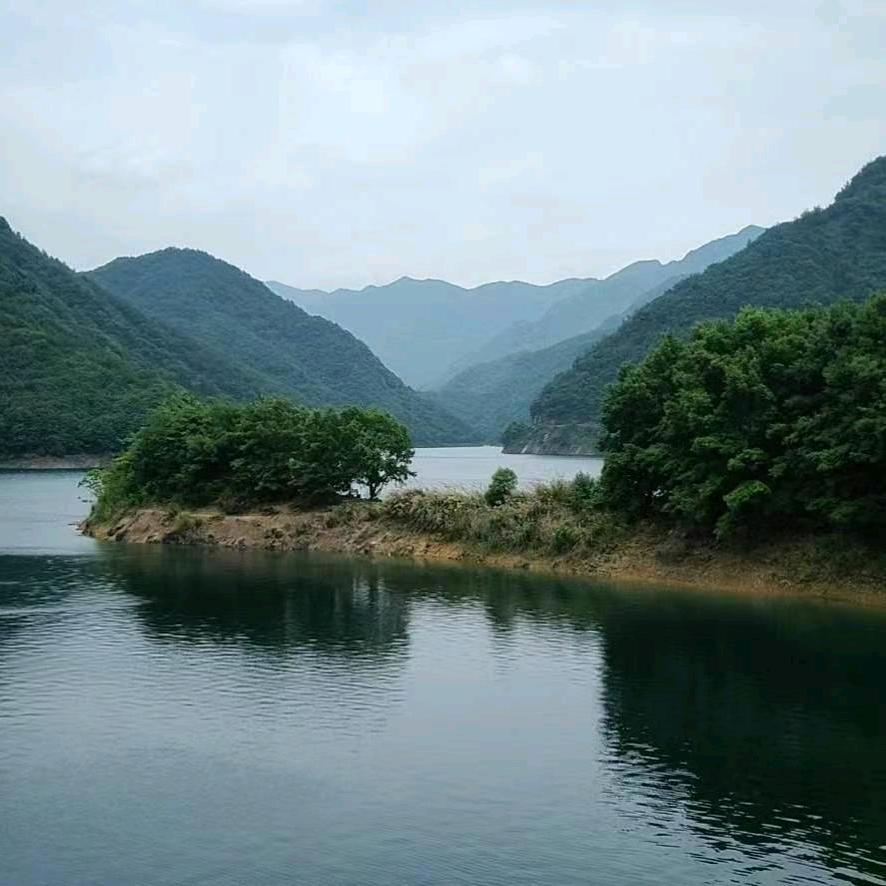 组织上