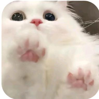 流轮