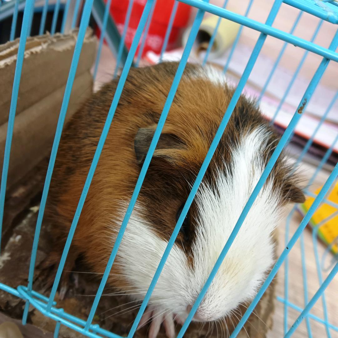 秋天的风🌾头像