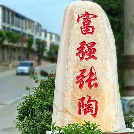 息县一乡一业（彭卫，徐小严）团队