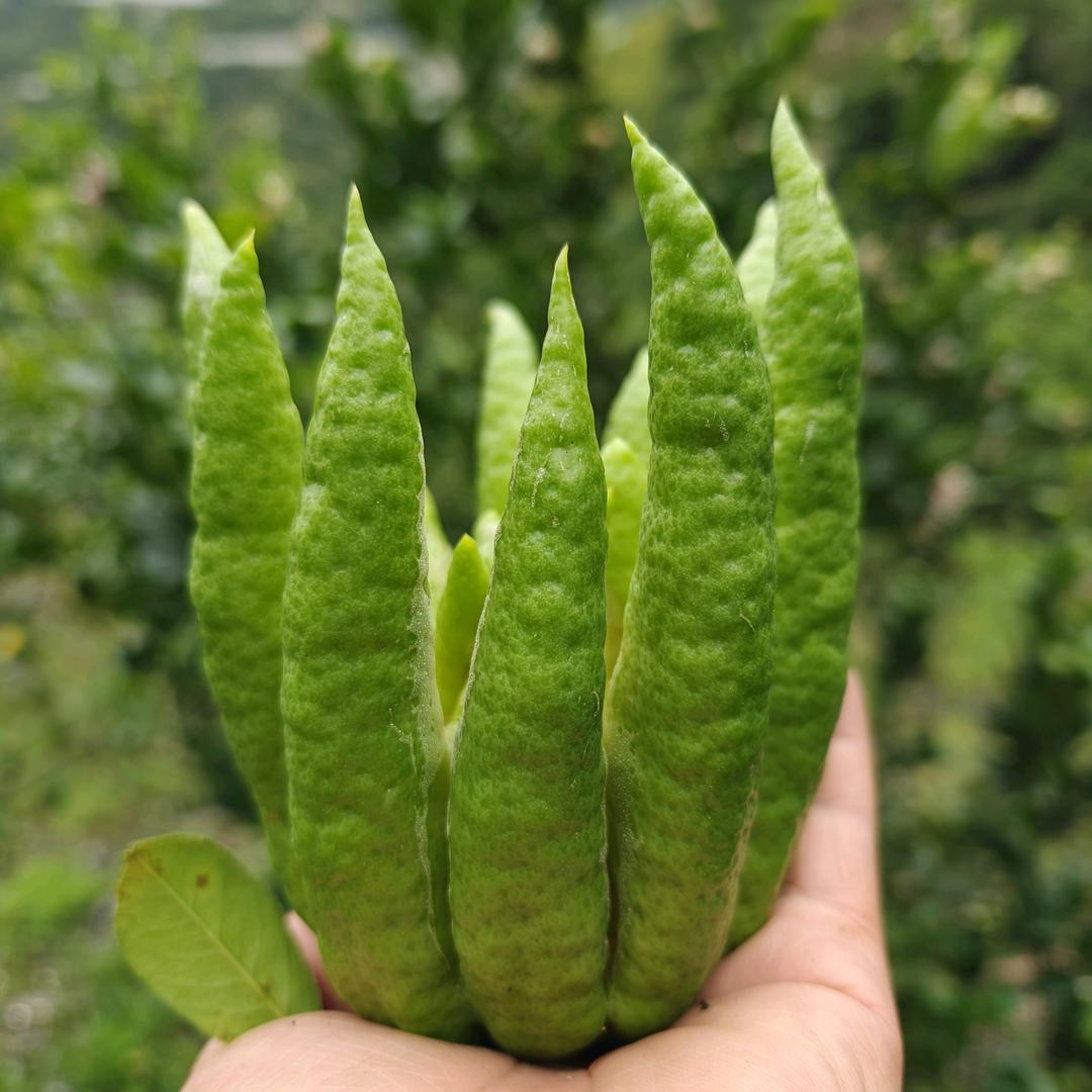 妙农小铺