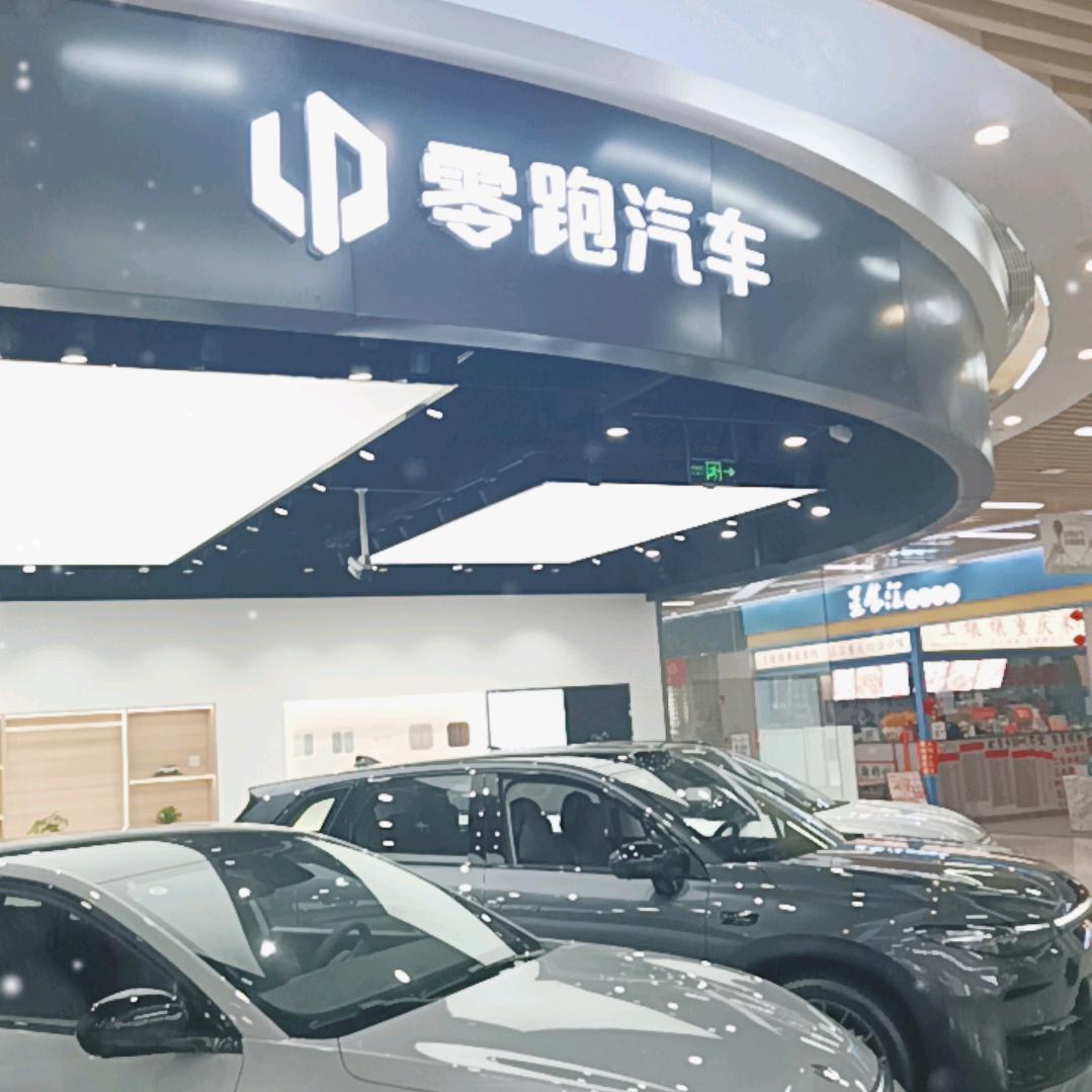 零跑汽车－许